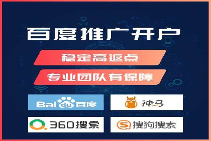 SEM推广实战：成功案例解读与策略调整